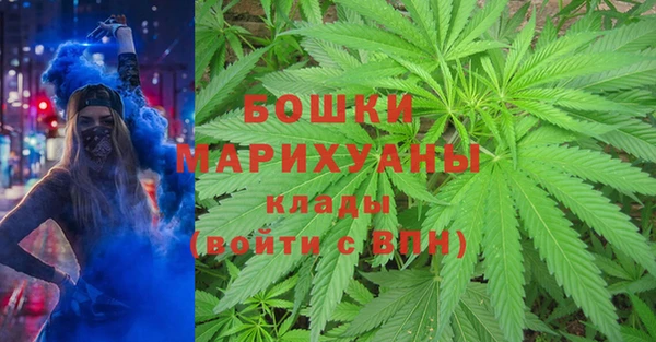 дурь Нягань