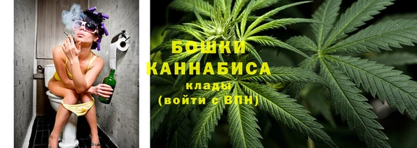 дурь Нягань