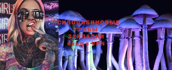 дурь Нягань