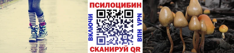 продажа наркотиков  Слюдянка  Псилоцибиновые грибы Psilocybine cubensis 